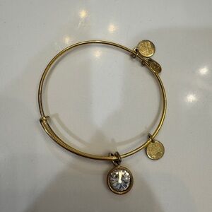 Alex and Ani Gold Adjustable Charm Bracelet